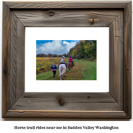 horse trail rides near me in Sudden Valley, Washington